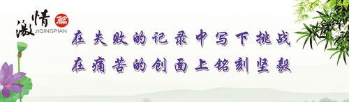 2022款奥迪a4one体育·(中国)app最新版下载l胎压复位图解(2020款奥迪a4l胎压复位)
